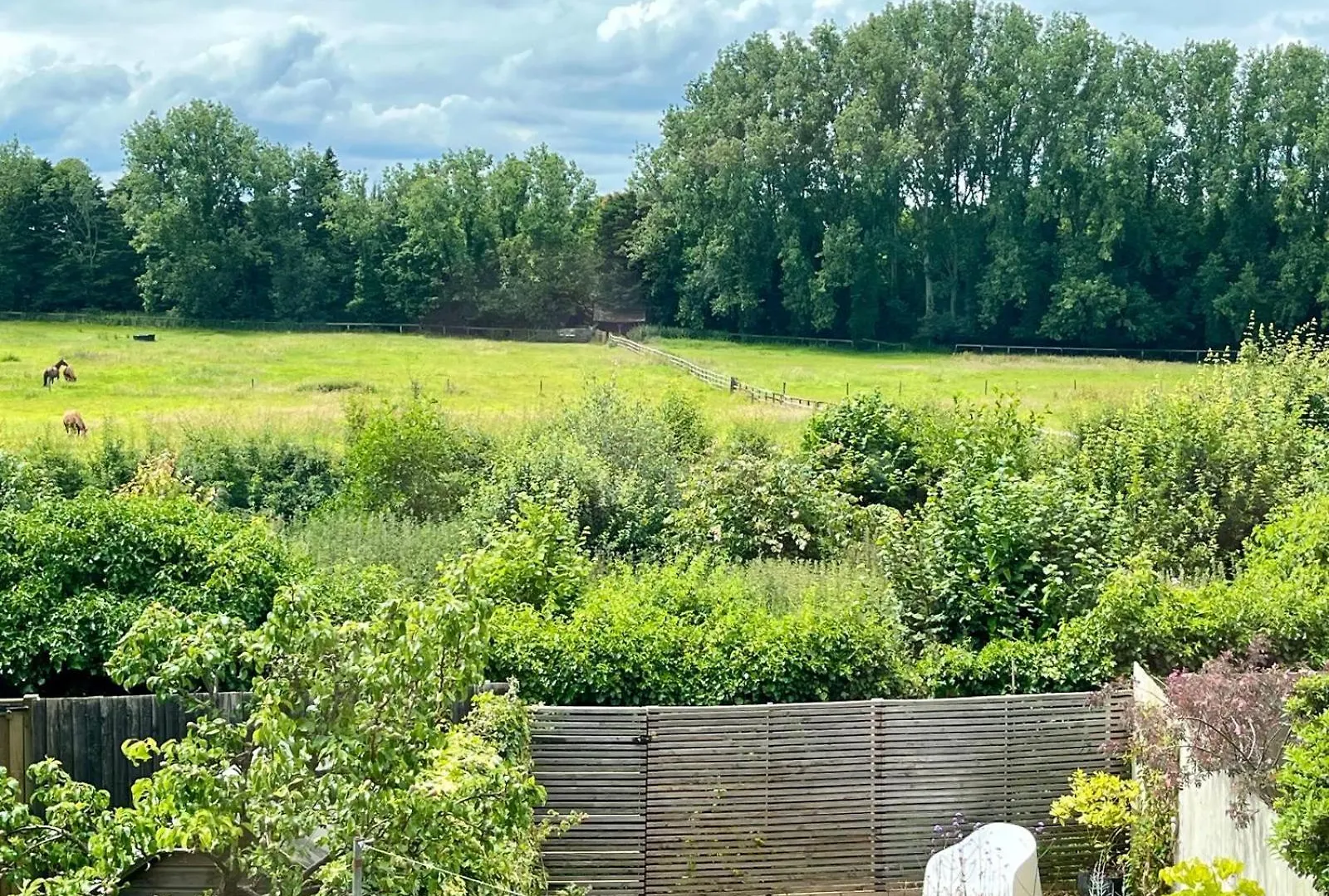 Unique 4 Bed 3 Bathroom House In Cambridge - Agate House Cambridge (Cambridgeshire)